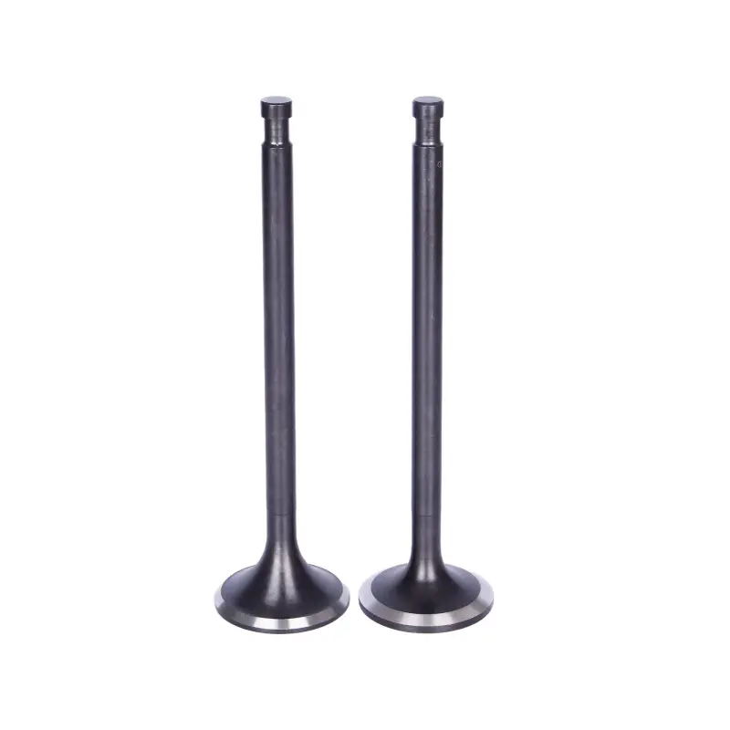 ISUZU RZ4E-T Intake Valve